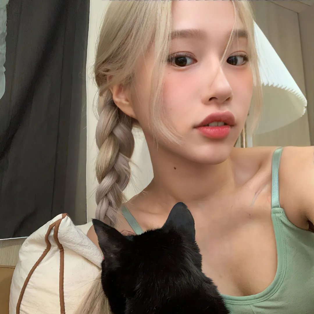 飞行之翼