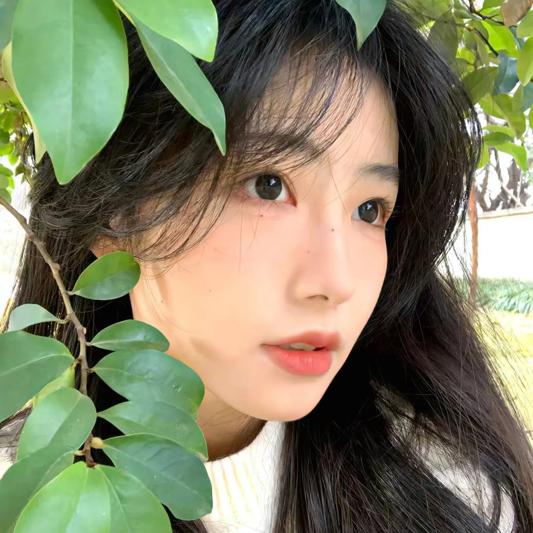 咱可不是猫